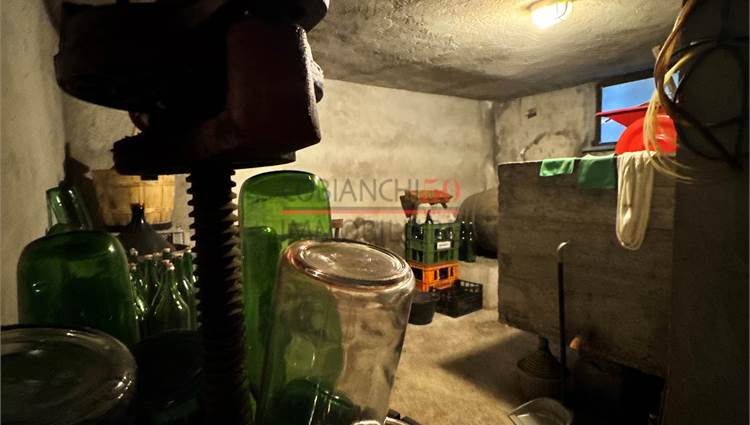 CANTINA