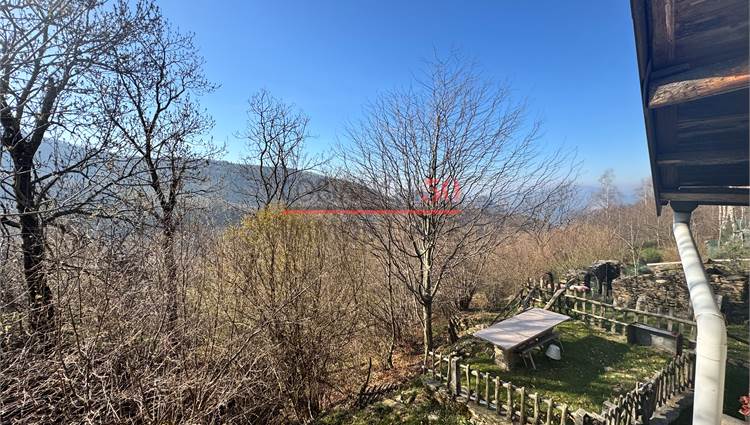 vista dalla camera 
