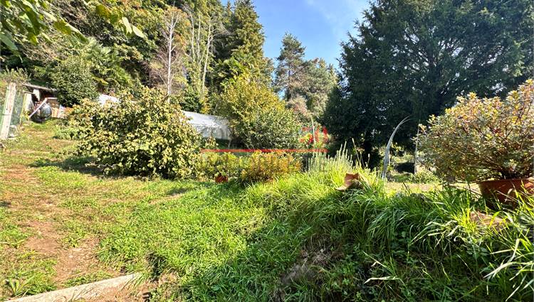 giardino con terrazze sul retro