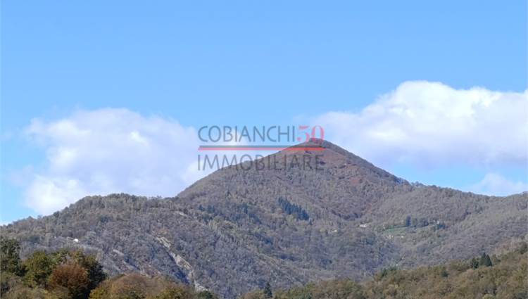 vista sul verde esterno