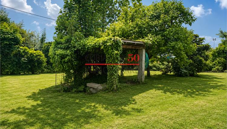 Giardino frontale P.S1 